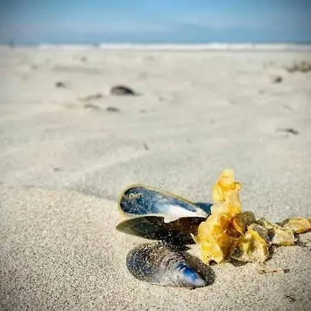 Duplex Capricia Met Zwembad Jachthaven 아파트 *