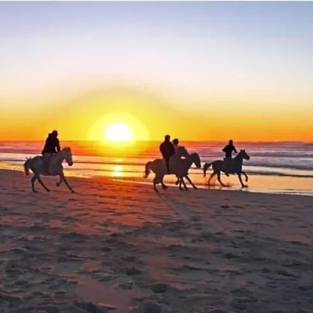 Duplex Capricia Met Zwembad Jachthaven * 尼乌波特