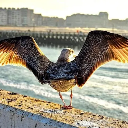 Duplex Capricia Met Zwembad Jachthaven 公寓 *