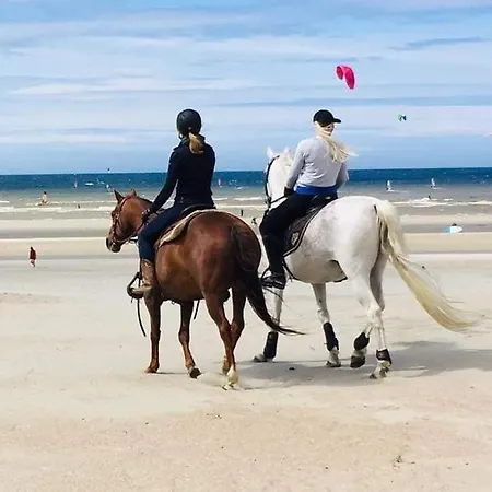 公寓 Duplex Capricia Met Zwembad Jachthaven 尼乌波特