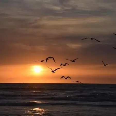 아파트 Duplex Capricia Met Zwembad Jachthaven 니우포르트