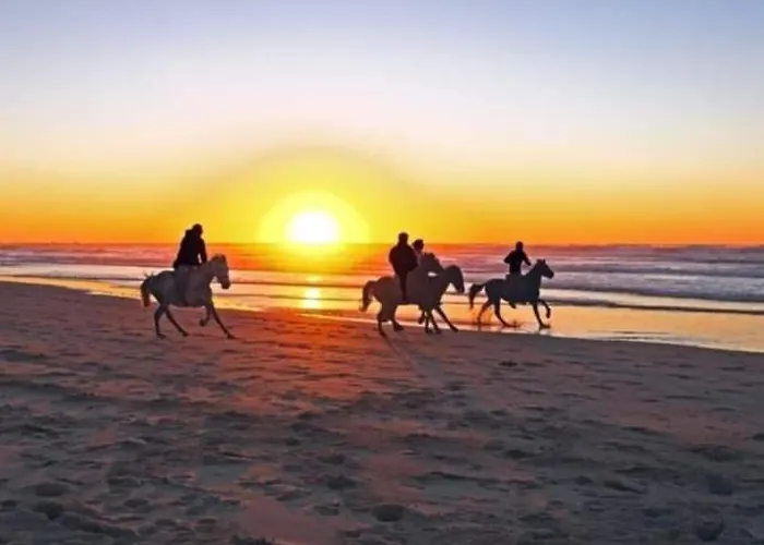 Duplex Capricia Met Zwembad Jachthaven * 니우포르트