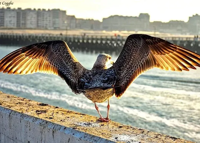 Duplex Capricia Met Zwembad Jachthaven 아파트 *