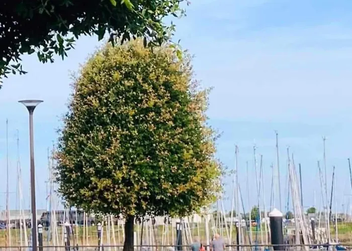 아파트 Duplex Capricia Met Zwembad Jachthaven